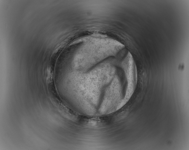 X0000114530420200911091115
