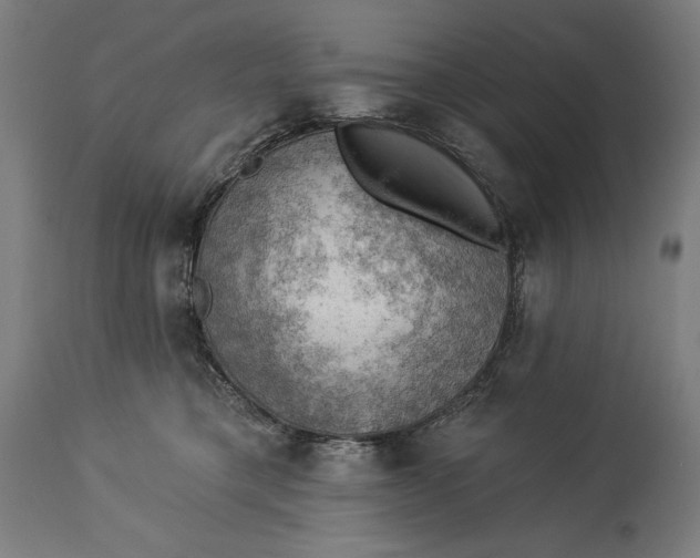 X0000114530421200911091115