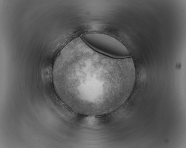 X0000114530425200911091115