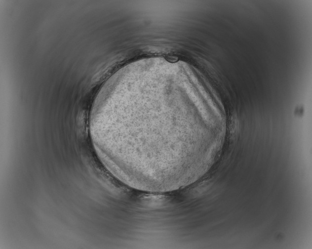 X0000114530428200911091115