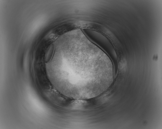 X0000114530429200911091115