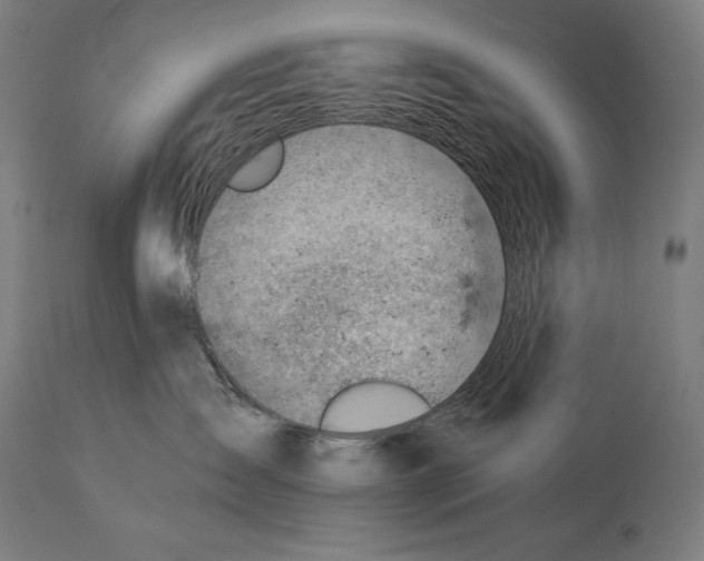 X0000114530431200911091115
