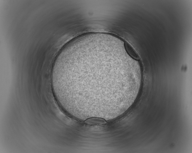 X0000114530433200911091114