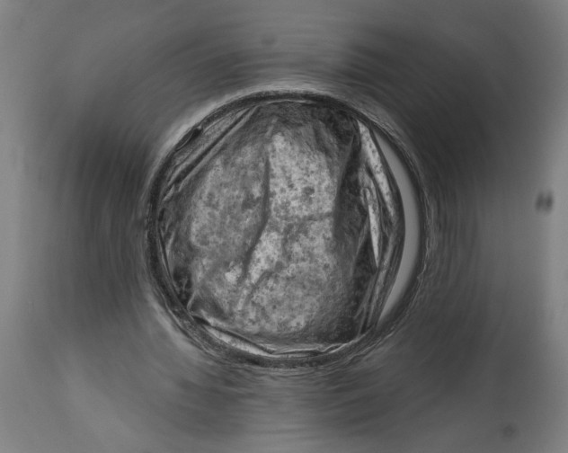 X0000114530436200911091114