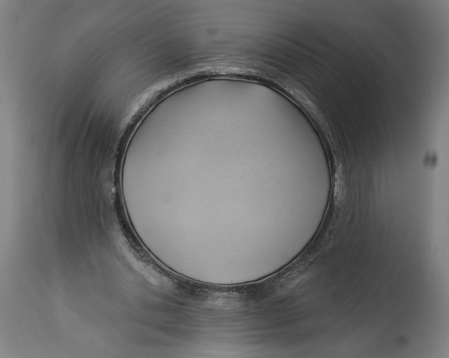 X0000114530438200911091114