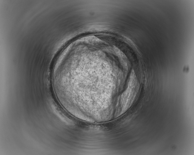 X0000114530439200911091114