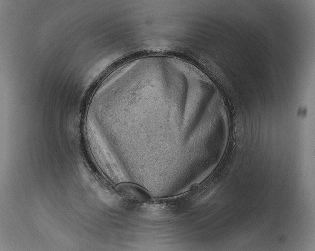 X0000114530440200911091114