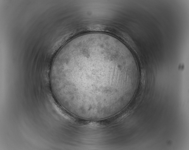 X0000114530441200911091114