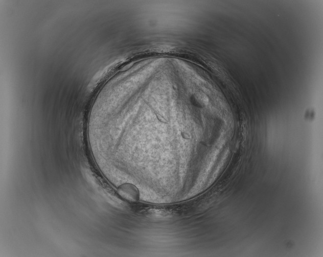 X0000114530442200911091114
