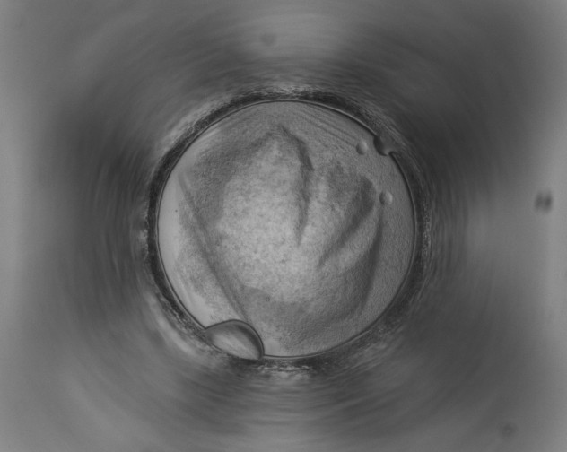 X0000114530443200911091114