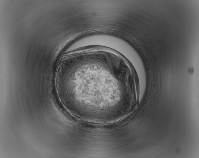 X0000114530444200911091114