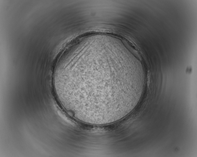 X0000114530445200911091114