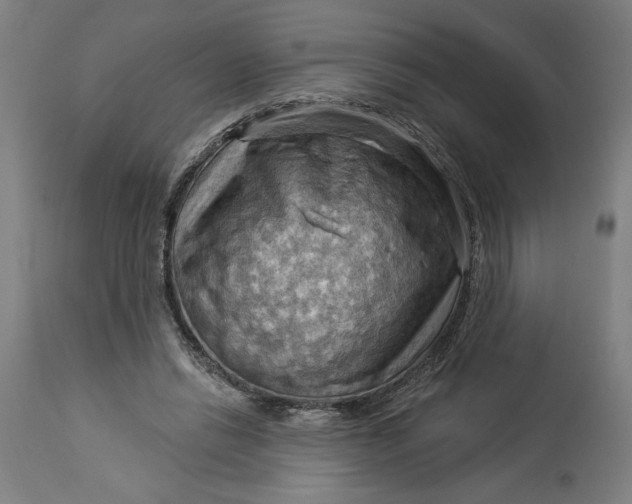 X0000114530446200911091114