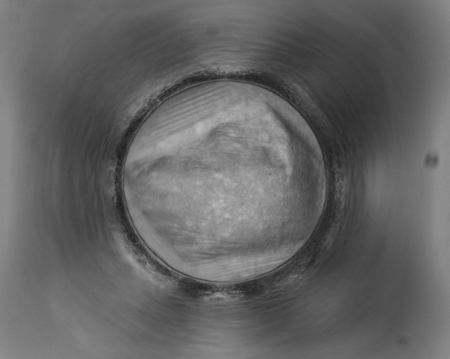 X0000114530447200911091114