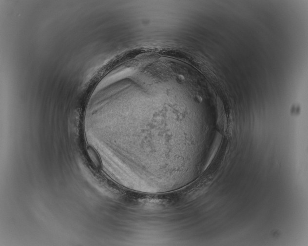 X0000114530448200911091114