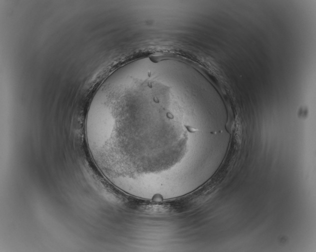 X0000114530449200911091114