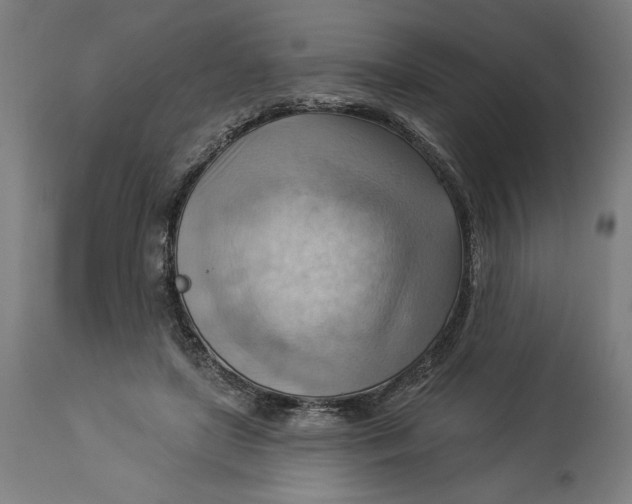 X0000114530451200911091114