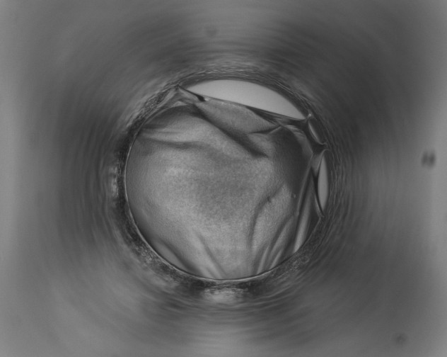 X0000114530452200911091114