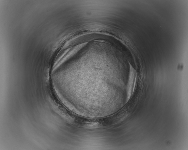 X0000114530454200911091114