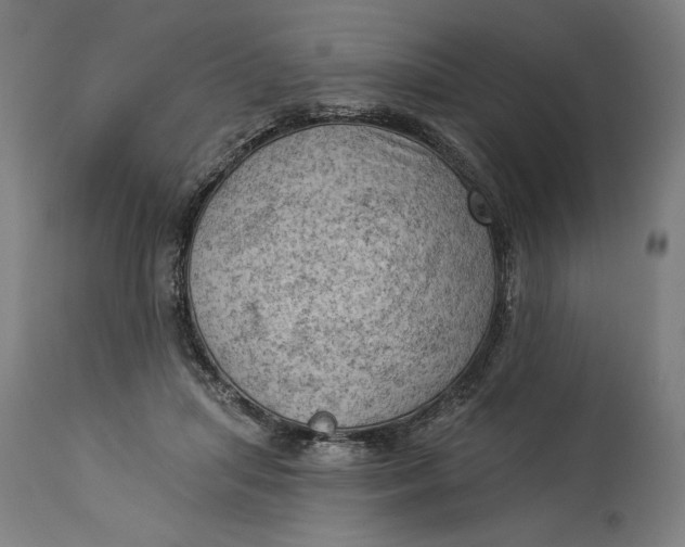 X0000114530455200911091114