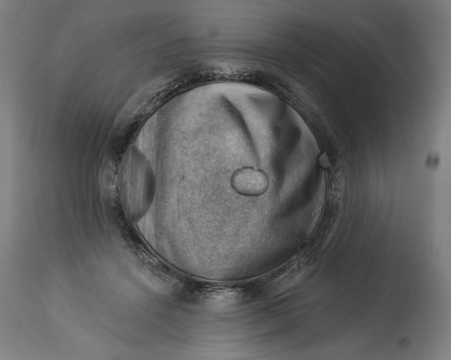 X0000114530456200911091114