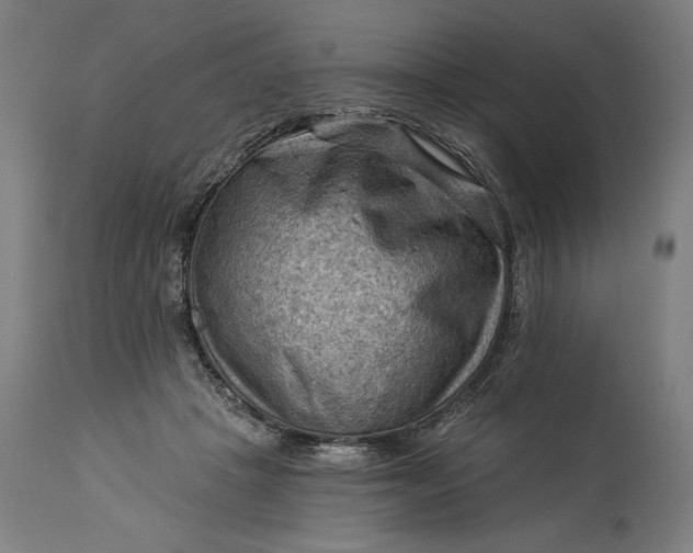 X0000114530457200911091114