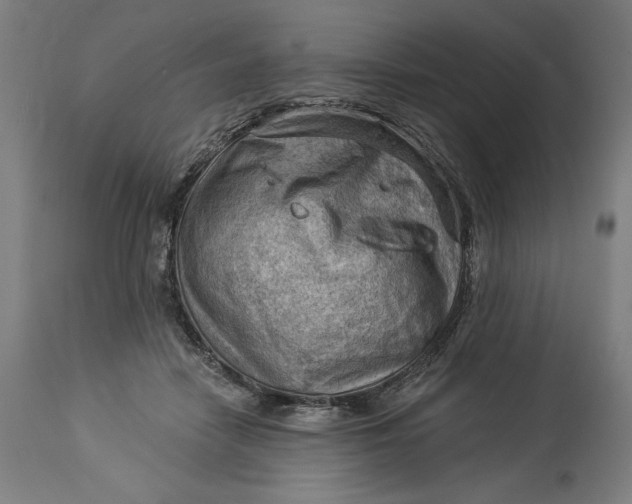 X0000114530458200911091114
