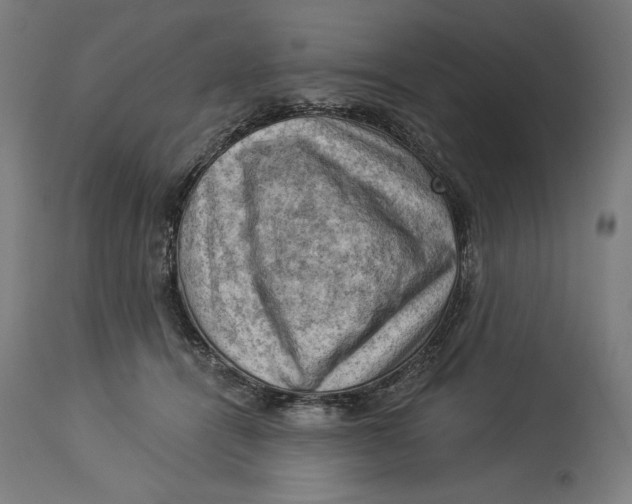 X0000114530464200911091114