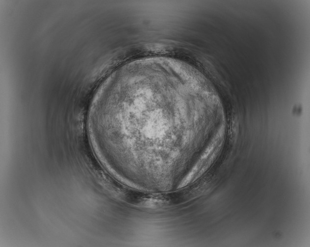 X0000114530466200911091114