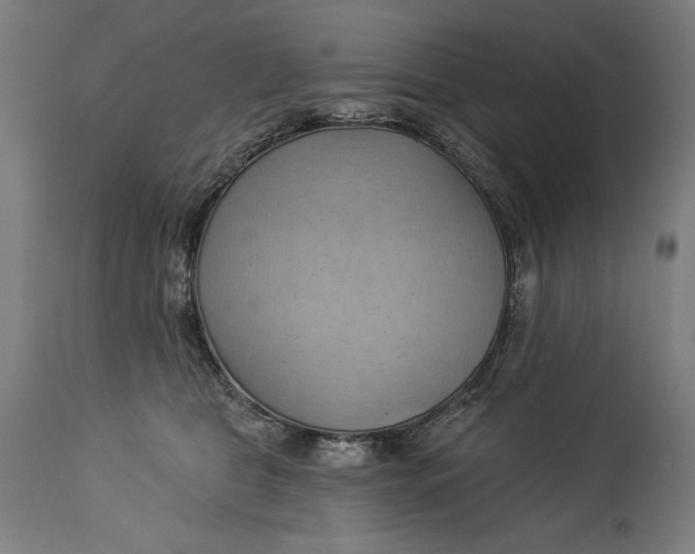 X0000114530469200911091114