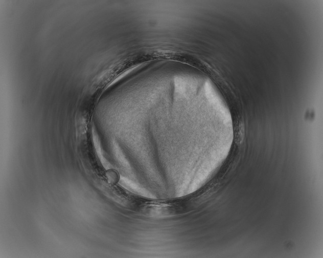 X0000114530472200911091115