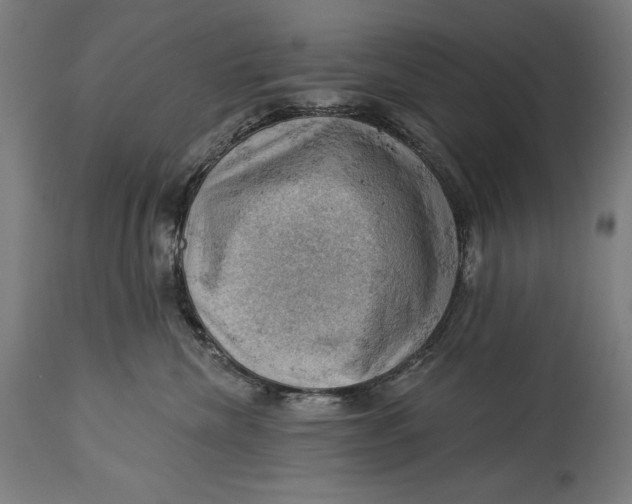 X0000114530476200911091115