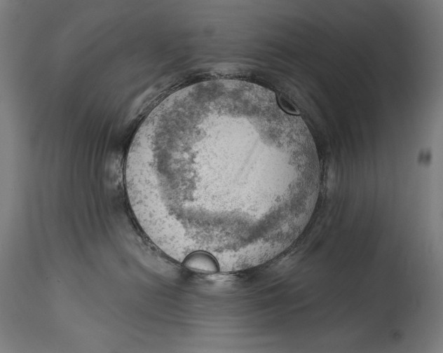 X0000114530478200911091115