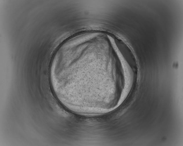 X0000114530481200911091114