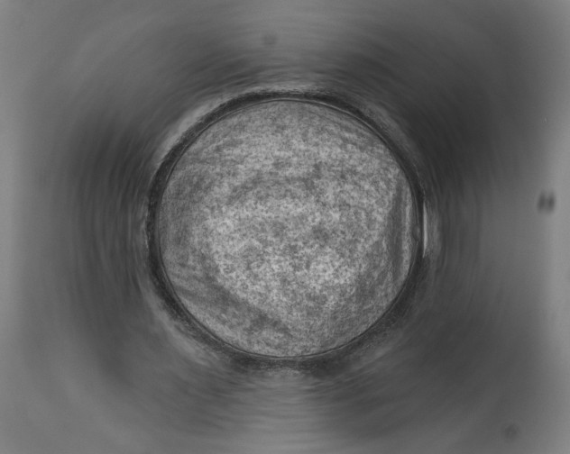X0000114530483200911091114