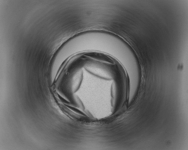 X0000114530485200911091114