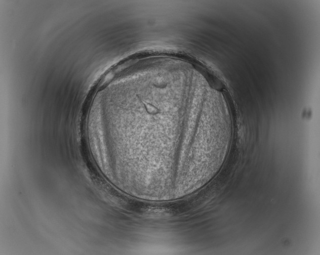 X0000114530487200911091114