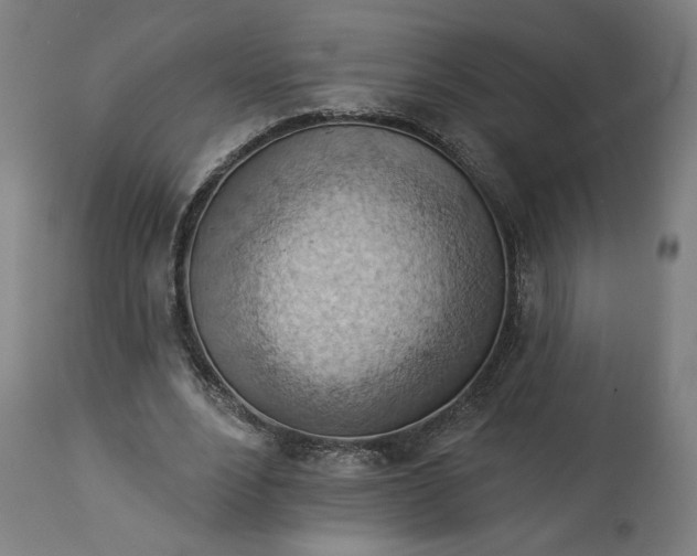 X0000114530488200911091114