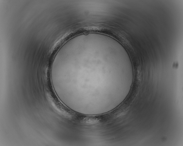 X0000114530491200911091114