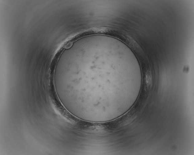 X0000114530492200911091114