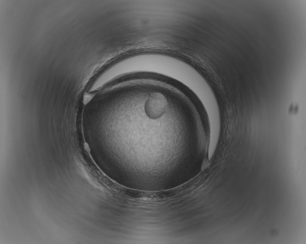 X0000114530496200911091114