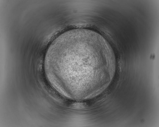 X0000114530499200911091114