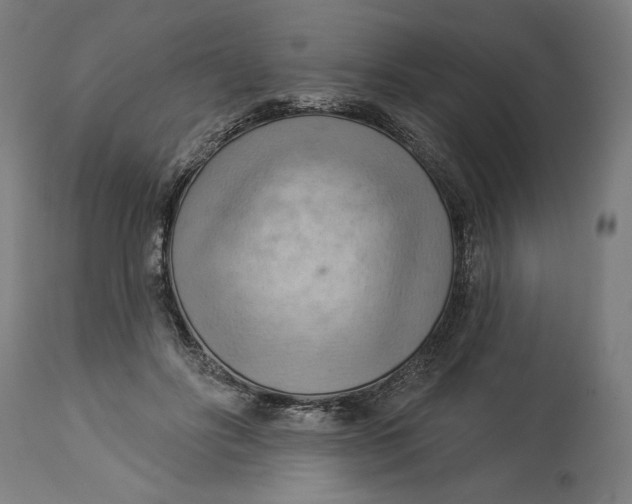 X0000114530502200911091114