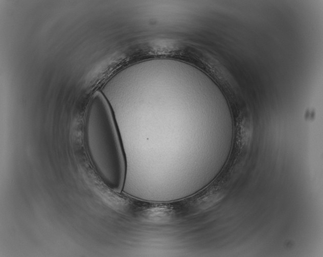 X0000114530505200911091114