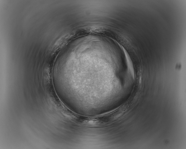 X0000114530506200911091114