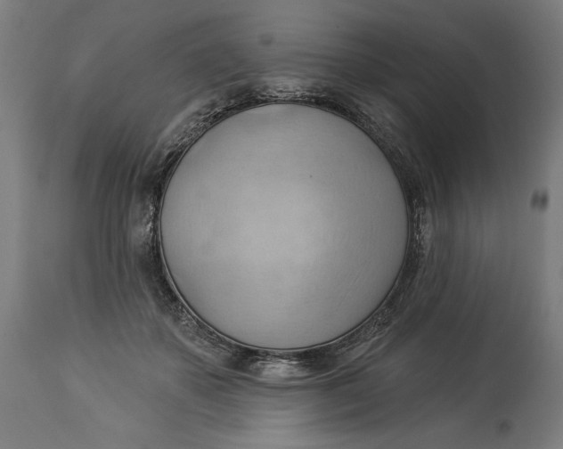 X0000114530507200911091114