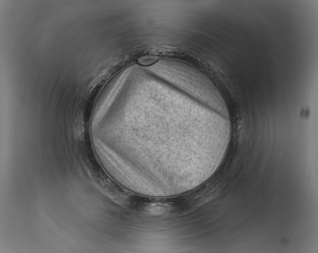 X0000114530508200911091114