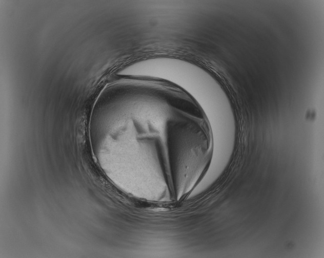 X0000114530509200911091114
