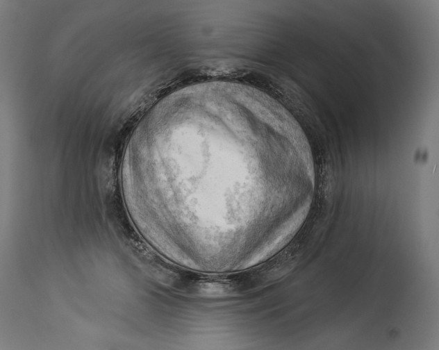 X0000114530510200911091114