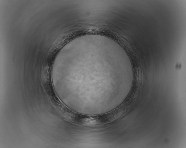 X0000114530511200911091114